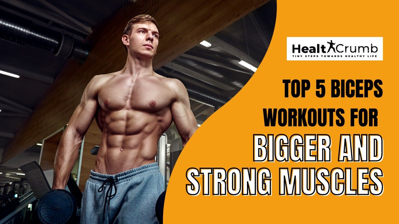 Top 5 Biceps Workouts for Bigger and Strong Muscles