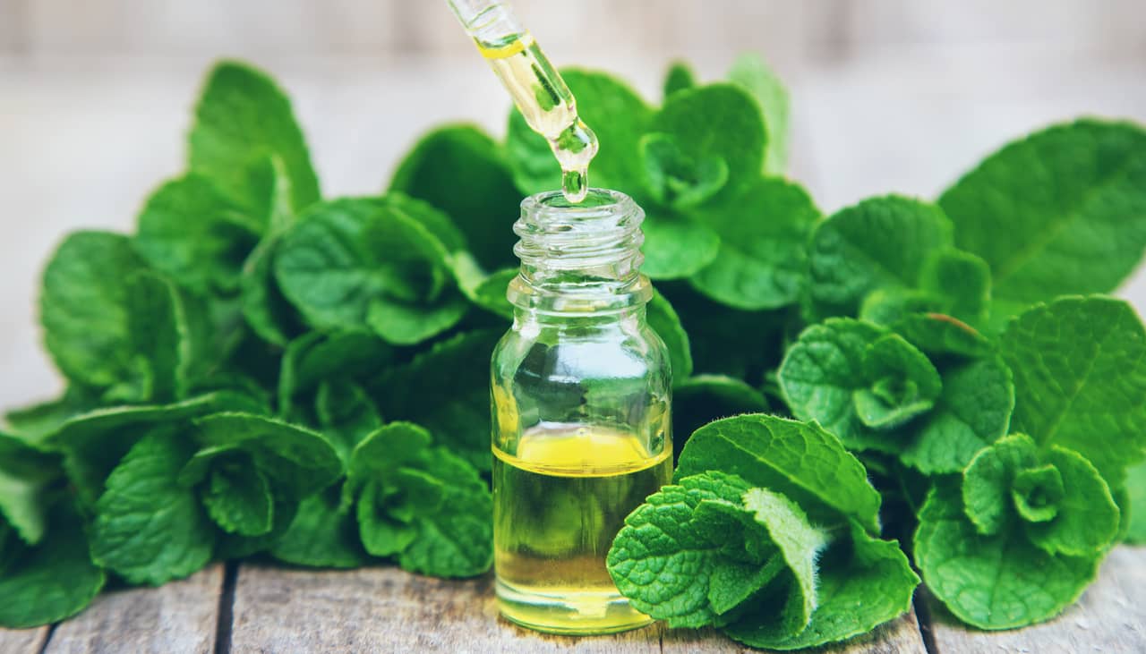 Peppermint Oil- Remedy for Cold Sores