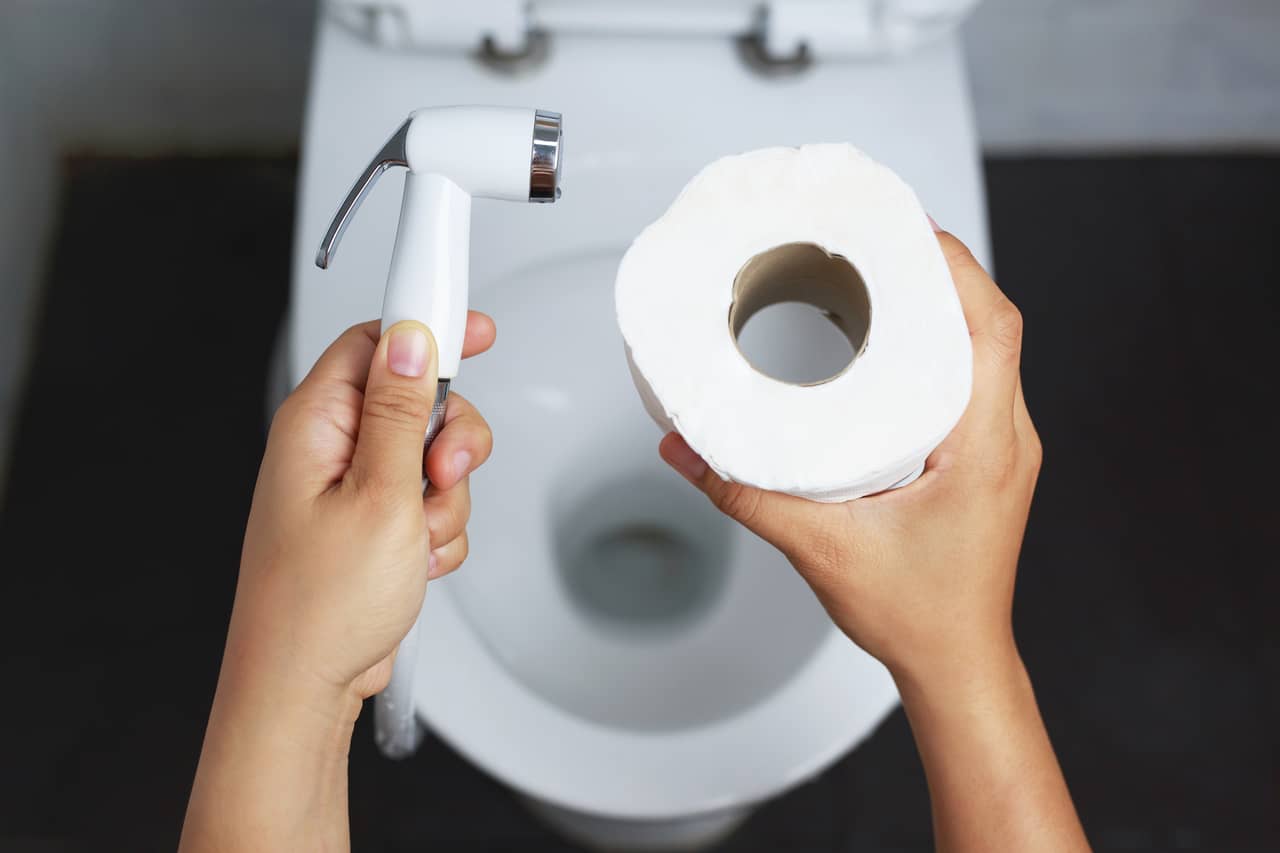 Wet Wipes or Bidet against Toilet Paper