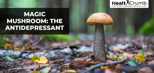 Magic Mushroom: The Antidepressant