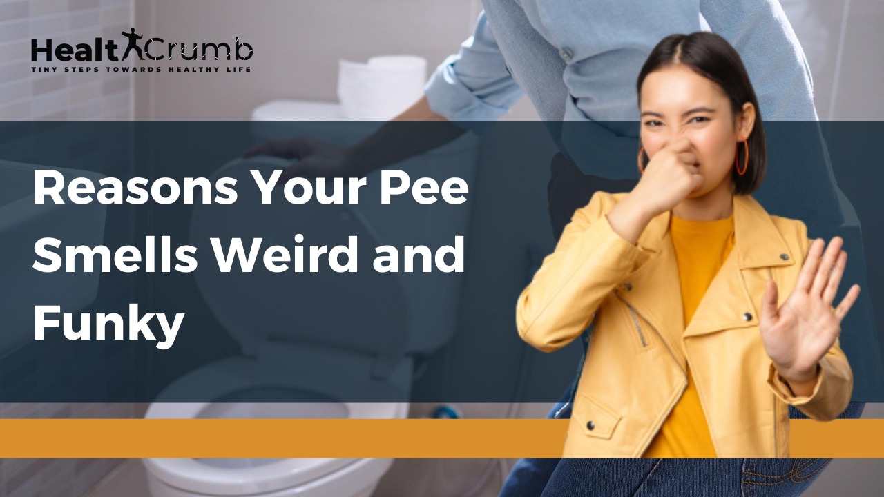 Reasons Your Pee Smells Weird and Funky