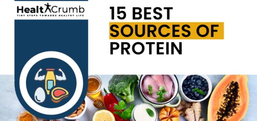 15 BEST SOURCES OF PROTEIN