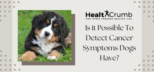 Is it Possible To Detect Cancer Symptoms Dogs Have?